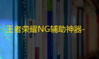 王者荣耀NG辅助神器-王者手游方框内透直装版