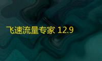飞速流量专家 12.90 绿色免费版